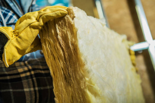 Best Insulation Repair Services  in Cayce, SC