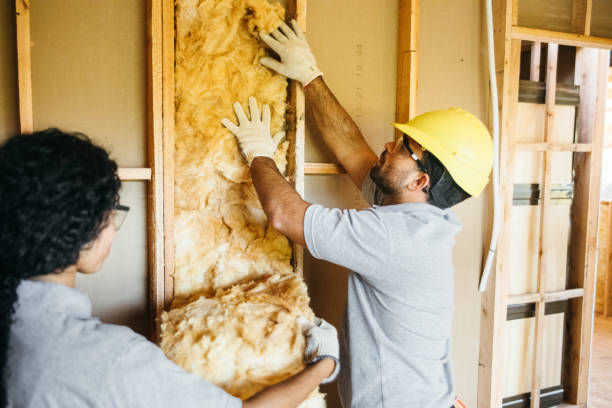 Best Insulation Contractor Near Me  in Cayce, SC