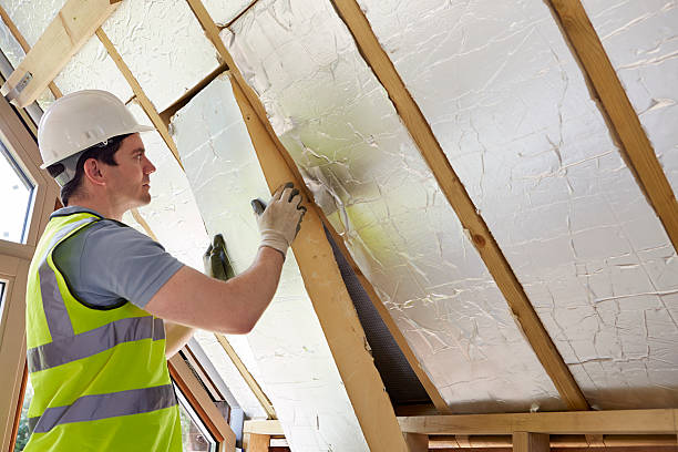 Best Residential Insulation Services  in Cayce, SC