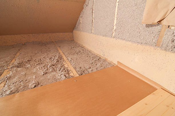 Insulation Repair Services in Cayce, SC