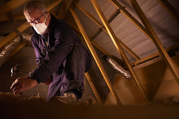 Best Spray Foam Insulation  in Cayce, SC